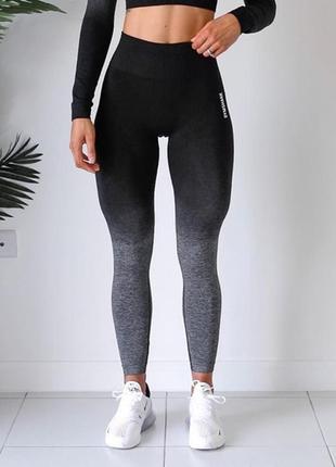 Gymshark ombre seamless лосины леггинсы тайтсы
