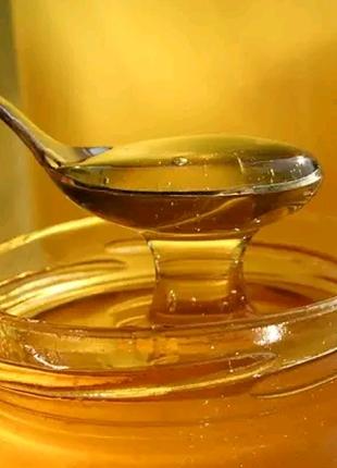 Продам мёд со своей пасеки: липа + разнотравье 2023 год