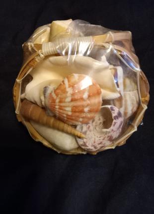 Набір морських  мушлі черепашок у плетеному кошику