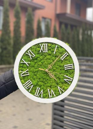 Годинник із стабілізованим мохом 30 см