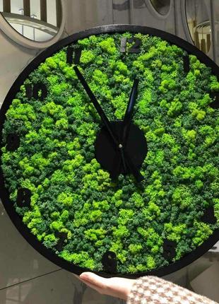 Настенные часы со стабилизированым мхом круглые minature moss ...