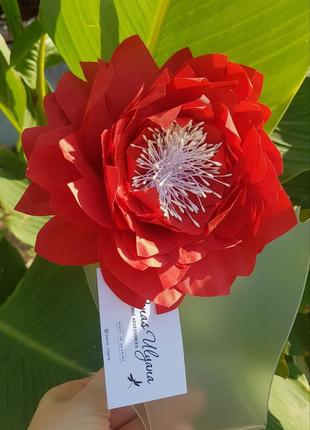 Красный цветок брошка 12 см