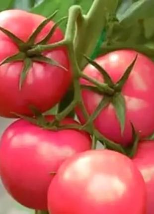 Загадка розовая (5 г) семена томата Элитный ряд