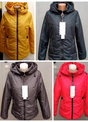 Жіноча демісезонна куртка s, m, l, xl, 2xl - 163