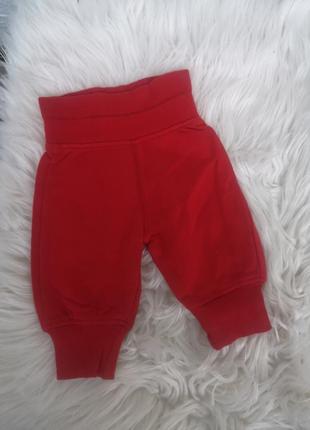Утепленные спортивные штаны на новорожденного ребенка 50-56 см