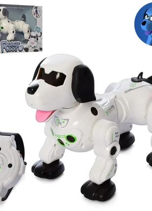 Собака робот 777-602 интерактивная игрушка на пульт в виде час...