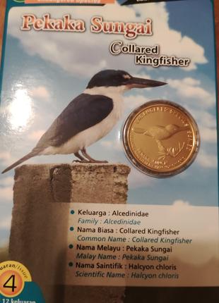 25 сен 2004, Малайзія, зимородок