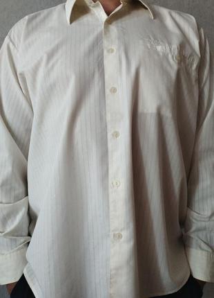Оригинальная мужская рубашка pierre cardin
