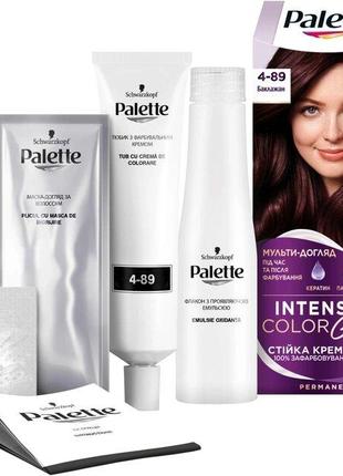 Краска для волос Palette RFE-3 (4-89) Баклажан 110 мл (3838905...