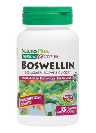 Натуральная добавка Natures Plus Herbal Actives Boswellin 300 ...