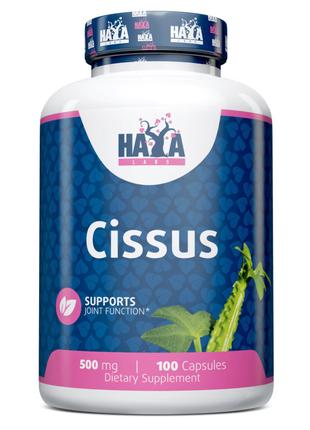 Натуральная добавка Haya Labs Cissus 500 mg, 100 капсул