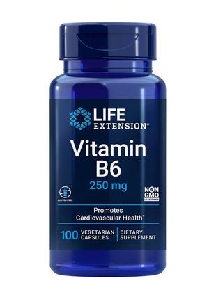 Вітаміни та мінерали Life Extension Vitamin B6 250 mg, 100 вег...