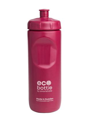 Бутылка для жидкостей для спорта EcoBottle Squeeze (650 ml, de...
