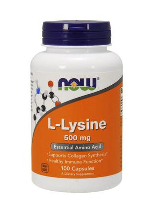 Комплекс амінокислот для спорту L-лізин L-Lysine 500 mg (100 c...