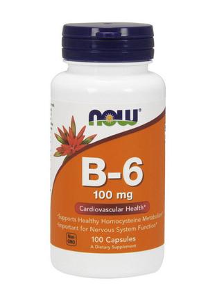 Комплекс витаминный для спорта B-6 100 mg (100 caps), NOW 18+