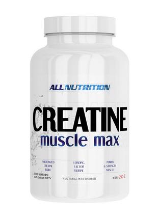 Спортивная пищевая добавка креатин Creatine Muscle Max (250 g,...