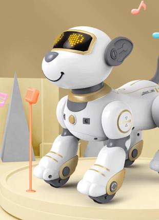 Робот - собака интерактивный на пульте управления BG1533 Золот...
