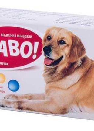 Arterium вітаміни для собак великих порід (100табл)