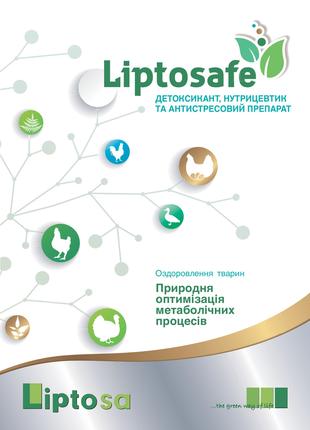 Липтосейф Л 5л (Канистра) Liptosafe L
