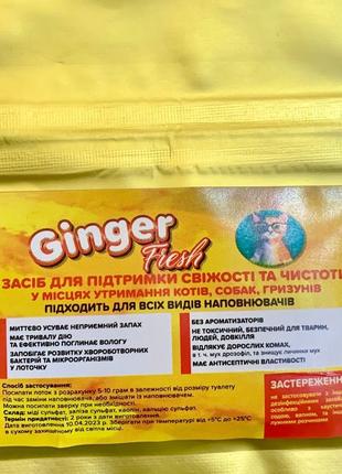 Ginger Fresh Средство для поддержания свежести и чистоты