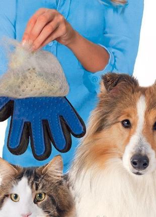 Масажна рукавичка для собак true touch, Рукавичка для вичісува...