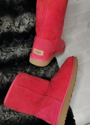 Угги, сапоги розовые 43, 44, 45р, ugg (оригинал)