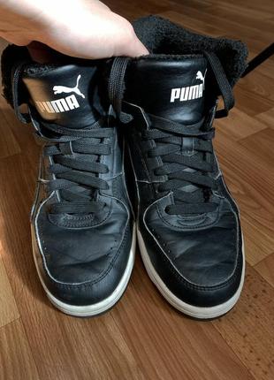 Хайтопы puma