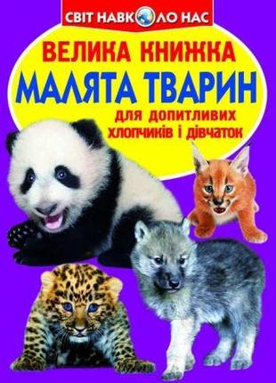 Книга "Большая книга. Детёныши животных" (укр) [tsi139523-ТSІ]