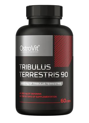 Стимулятор тестостерона OstroVit Tribulus Terrestris 90, 60 ка...