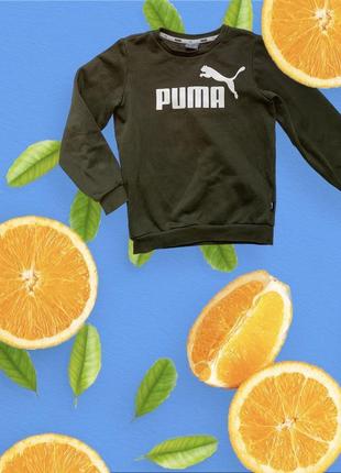 Толстовка puma 116р