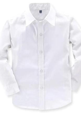 Белая рубашка / рубашка palomino