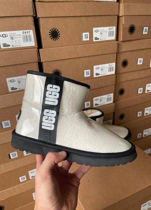 Угги ugg classic clear mini white