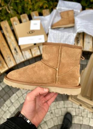 Угги ugg classic mini chestnut suede