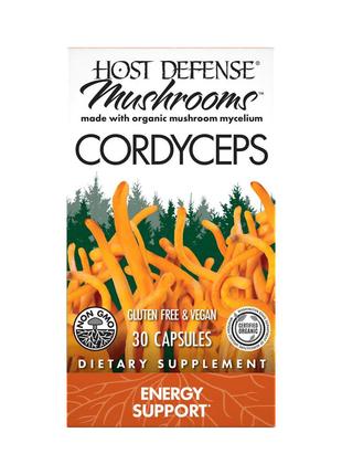 Грибы кордицепс, поддержка выработки энергии, Cordyceps, Fungi...