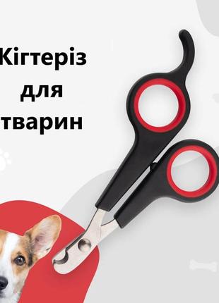 Кігтеріз для . ножиці для нігтів домашніх котів та собак