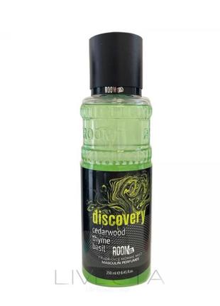 Чоловічий парфумований спрей-міст Discovery Room 501, 250мл