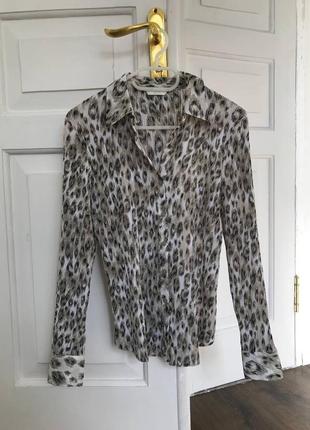 Блузка рубашка винтаж принт анимал леопард