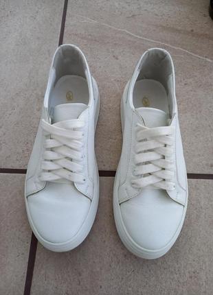 Кросівки dixi білі базові кеди снікерси шкіряні