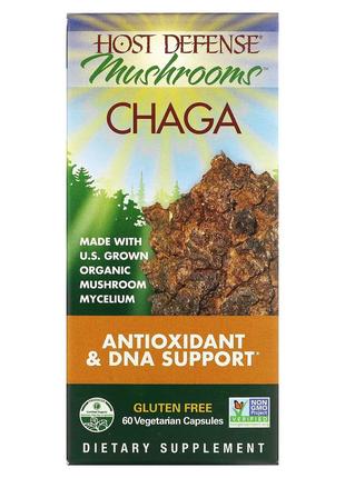 Чага, Chaga, Fungi Perfecti, 60 вегетарианских капсул