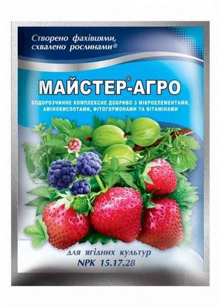 Водорозчине сухе добриво для ягідних культур, 100г ТМ Майстер-...