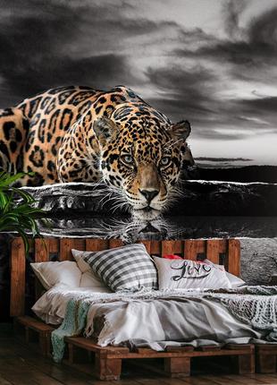 Флизелиновые 3Д фотообои с котиками 368x254 см Леопард на черн...