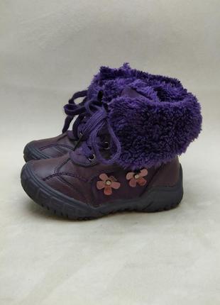 Чобітки зимові черевики сапожки сапоги ботинки 24р