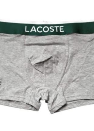 Шорты трусы мужские в стиле lacoste серые и графит