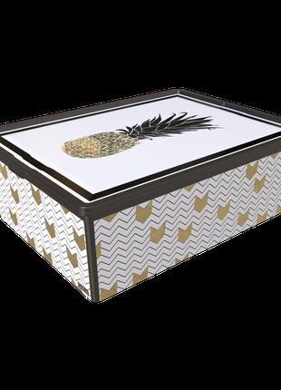 Контейнер Qutu Trend Box Pineapple Life, 25 л