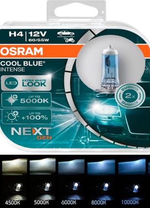 Лампочки в фару авто H4 12 V 60/55 OSRAM Cool Blue Intense Nex...