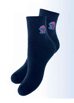 Шкарпетки маріне дитячі махра 9190 р.22-24 10 пар ТМ Легка Хода