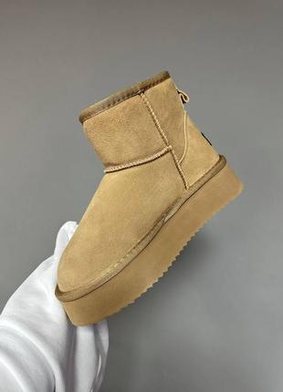 Ugg mini platform ginger suede