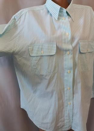 Стильная хлопковая рубашка, блузка, блуза в полоску  №12bp