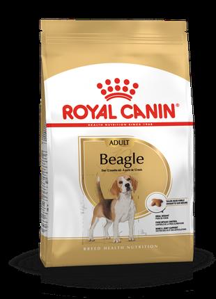 Royal Canin Beagle Adult (Роял Канін Бігль Едалт) сухий корм д...