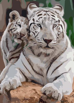 Картина за номерами 0007 ОРТ кол. Сім "я білих тигрів 40*50